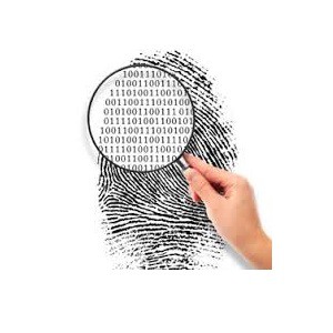 Logo for Data Scientist, Data Miner, Statistician or all of the above?